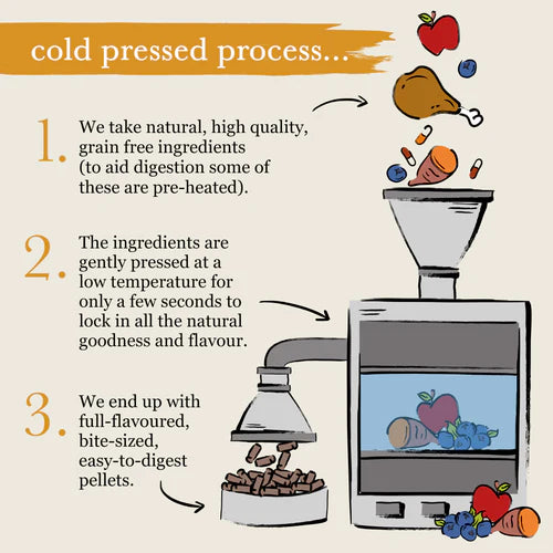 Forthglade - Turkey Natural Dry Cold Pressed Grain Free Dog Food 6KG image 4