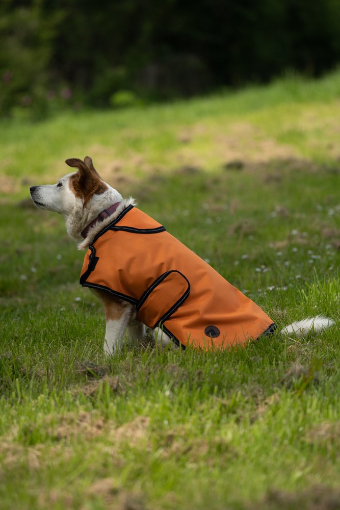 Pet Face - Outdoor Paws 2 in 1 Dog Coat image 12
