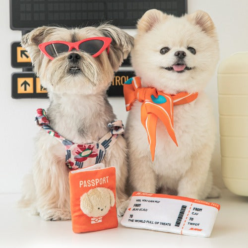 [BiteMe x Jeju air] Pet passport & ticket nosework toy set image 0