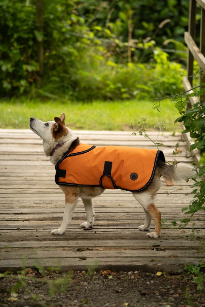 Pet Face - Outdoor Paws 2 in 1 Dog Coat image 11