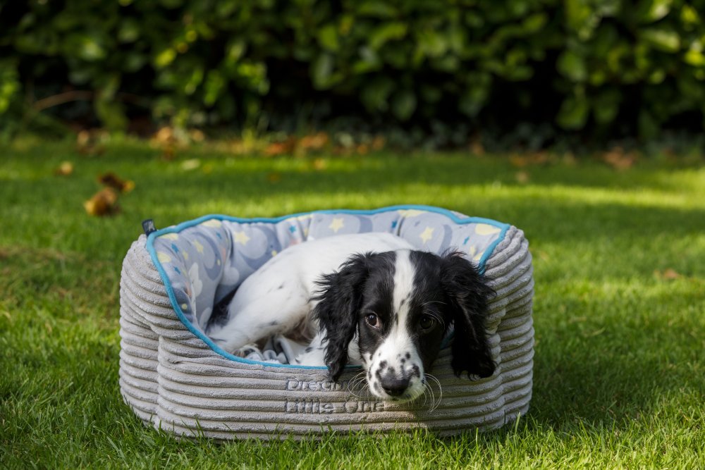 Pet Face - Little Petface OvalPet Bed image 0