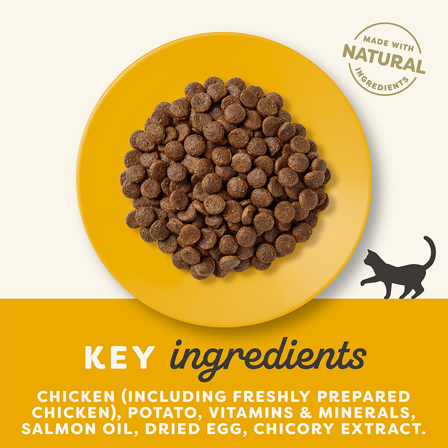 Applaws - Complete & Balanced Grain Free Dry Adult Cat Food Chicken 2kg image 2