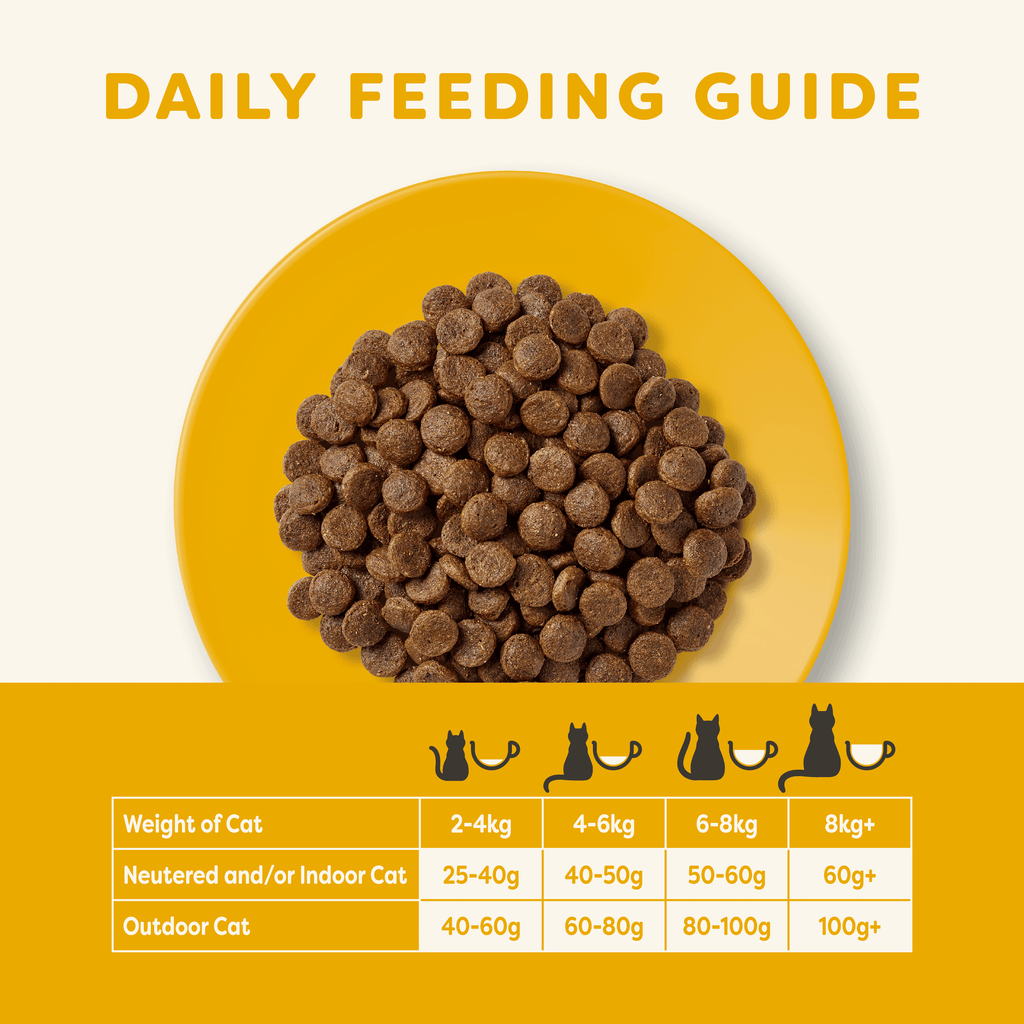 Applaws - Complete & Balanced Grain Free Dry Adult Cat Food Chicken 2kg image 4