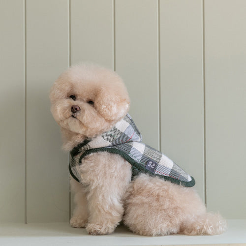 SSFW - My Little Check Poncho 24ver. image 2