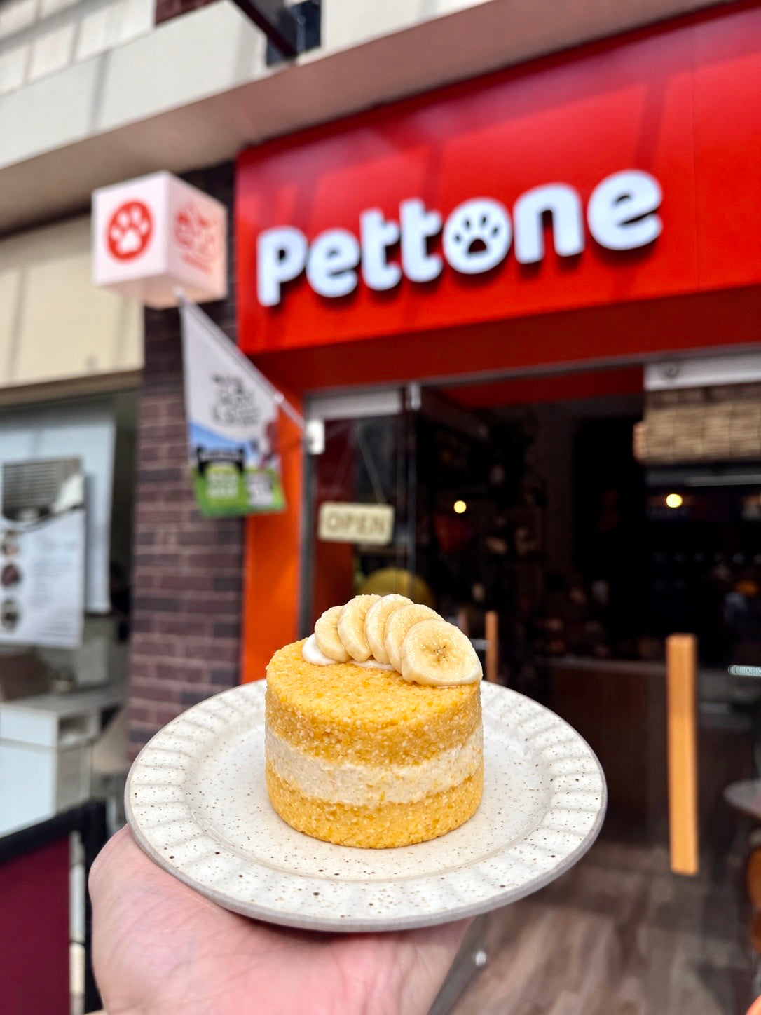Signature Layer Celebration Cake for Dog