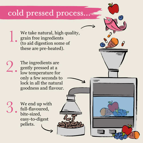 Forthglade - Salmon Natural Dry Cold Pressed Grain Free Dog Food 2KG image 4