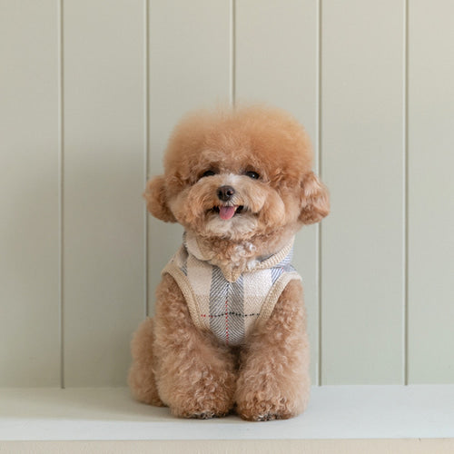 SSFW - My Little Check Poncho 24ver. image 3