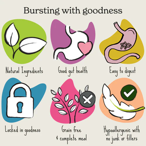 Forthglade - Turkey Natural Dry Cold Pressed Grain Free Dog Food 6KG image 3