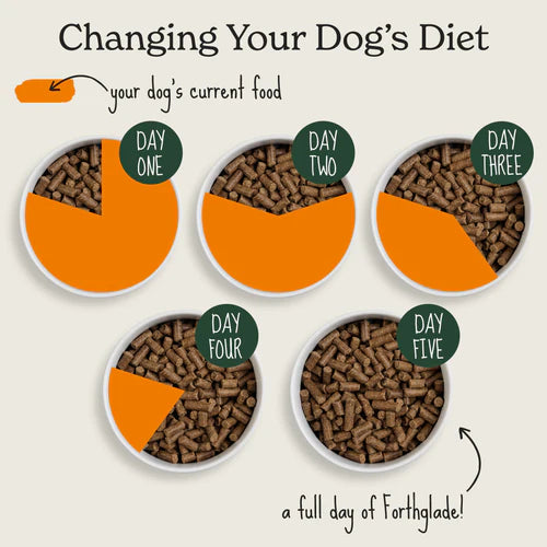 Forthglade - Turkey Natural Dry Cold Pressed Grain Free Dog Food 6KG image 6