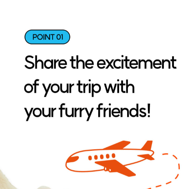 [BiteMe x Jeju air] Pet passport & ticket nosework toy set image 2