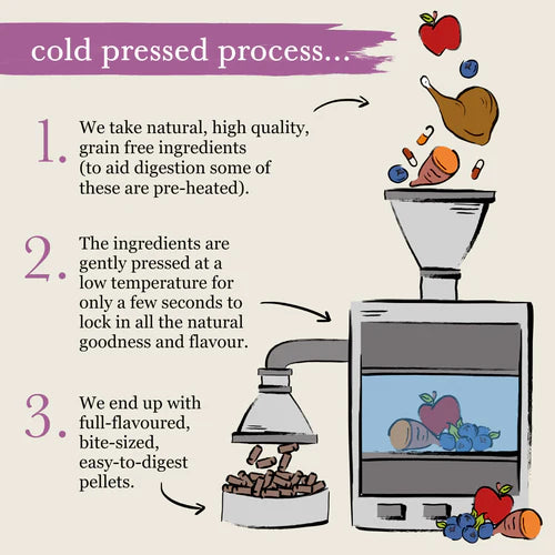 Forthglade - Duck Natural Dry Cold Pressed Grain Free Dog Food 6KG image 4