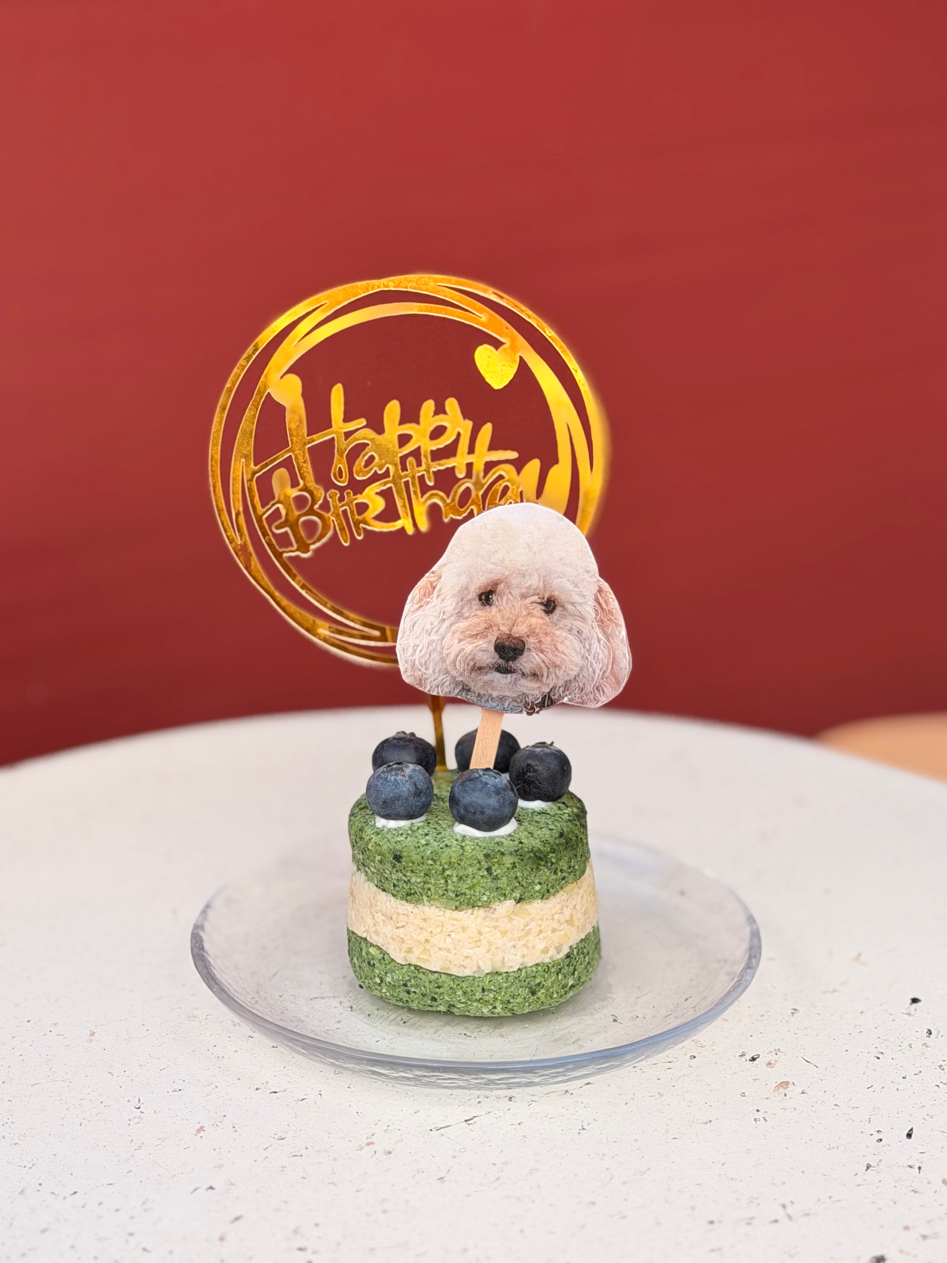 Signature Layer Dog Birthday Cake