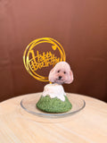 Mountain Fuji Birthday Cake for Dogs