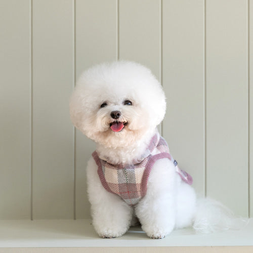 SSFW - My Little Check Poncho 24ver. image 5