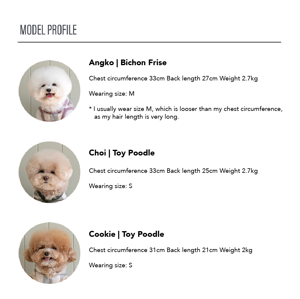 SSFW - My Little Check Poncho 24ver. image 9