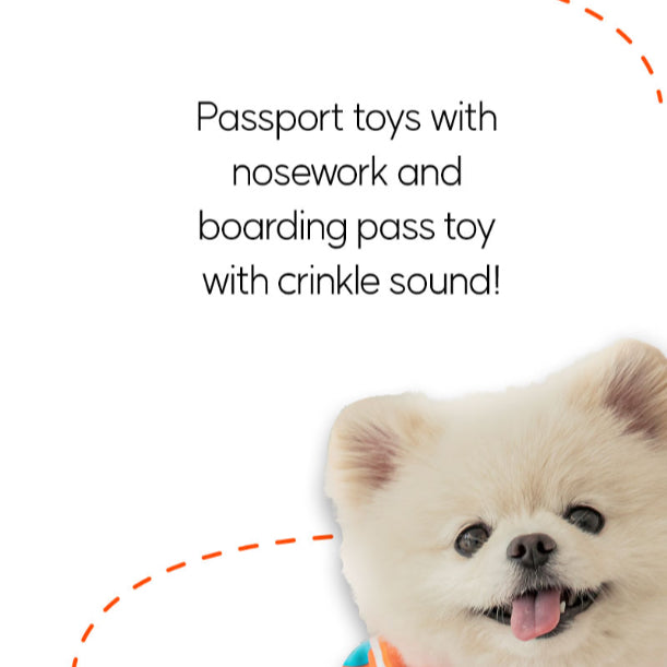 [BiteMe x Jeju air] Pet passport & ticket nosework toy set image 4