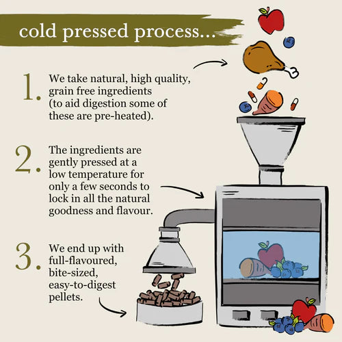 Forthglade - Chicken Natural Dry Cold Pressed Grain Free Dog Food 6KG image 4