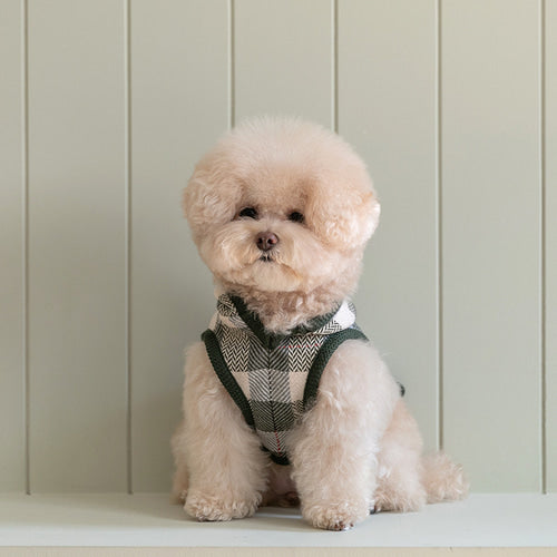 SSFW - My Little Check Poncho 24ver. image 1