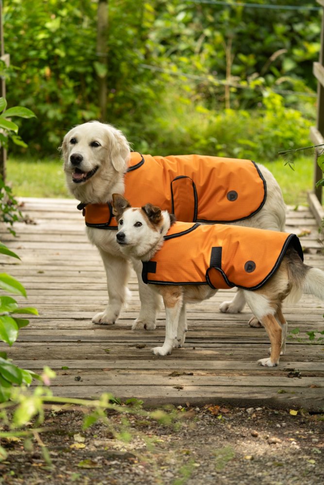 Pet Face - Outdoor Paws 2 in 1 Dog Coat image 0