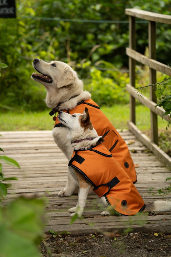 Pet Face - Outdoor Paws 2 in 1 Dog Coat image 13